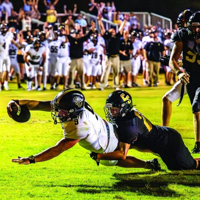 SC v CC Raines TD Dive